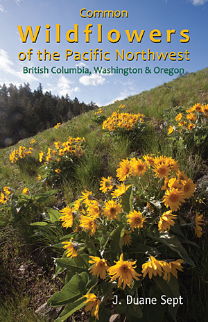 Common Wildflowers Of The Pacific Northwest | Calypso Publishing